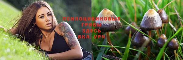 индика Верхний Тагил