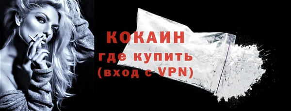 индика Верхний Тагил