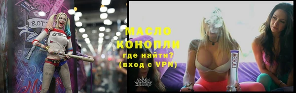 индика Верхний Тагил