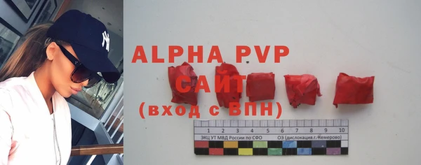 крисы Бугульма