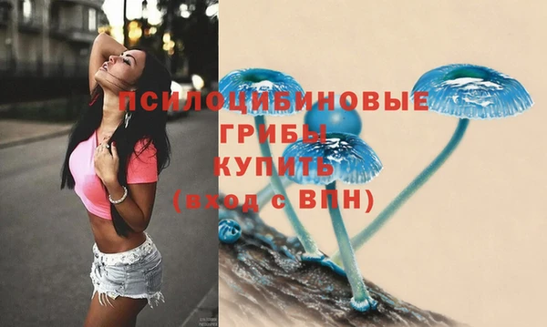 мяу мяу мука Верея
